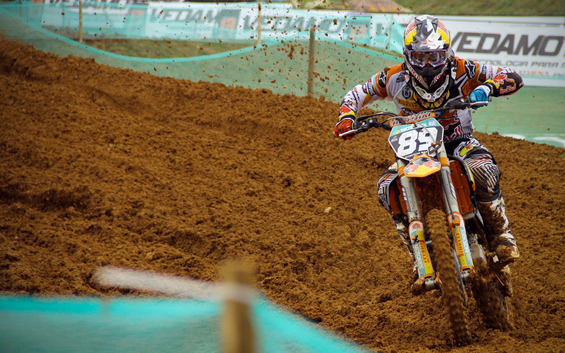 环保新举措：联盟绿色低碳，迈向可持续未来，绿色低碳生态环保